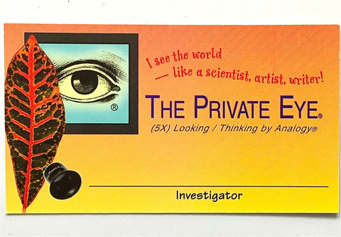 Private Eye Investigator Card - pack of 10 front view
