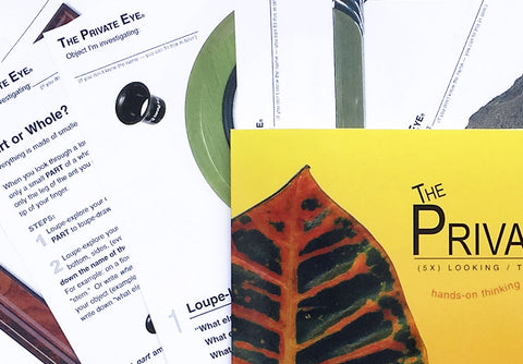 The Private Eye Activity Sheet Master Pack: Primary Level activity pages and folder