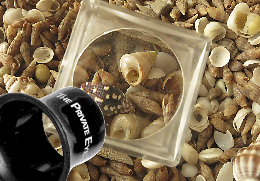 The Private Eye Acrylic Magnifier - Box