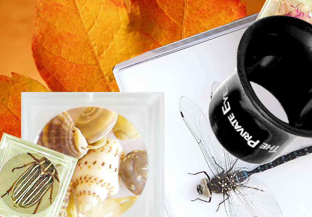 The Private Eye Acrylic Magnifier Box "B" The Private Eye Project