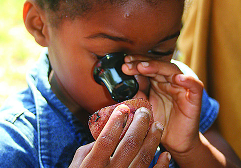 Introducing Pre-Kindergartners to The Private Eye with boy using loupe